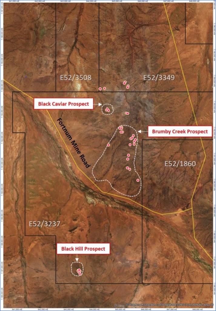 Figure 2 – Satellite imagery showing Brumby Creek and other nearby Prospects and rock chip sample points