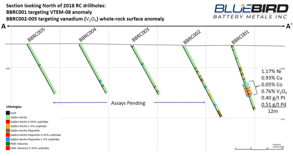 Figure 2: RC Drillhole Section